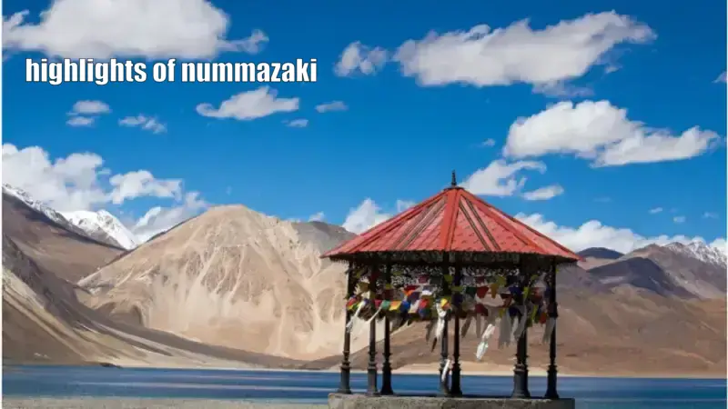 highlights of nummazaki