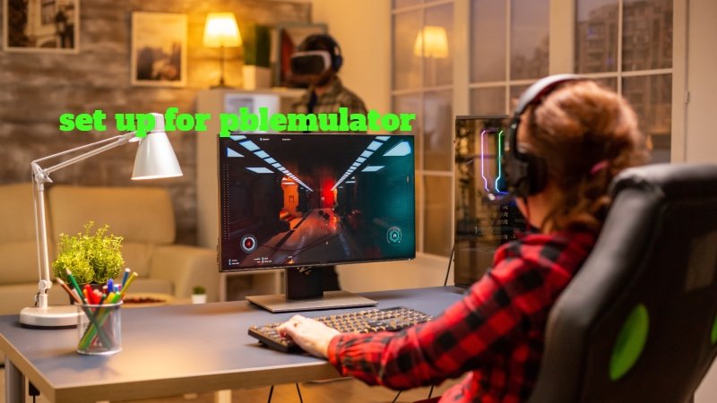 set up for pblemulator